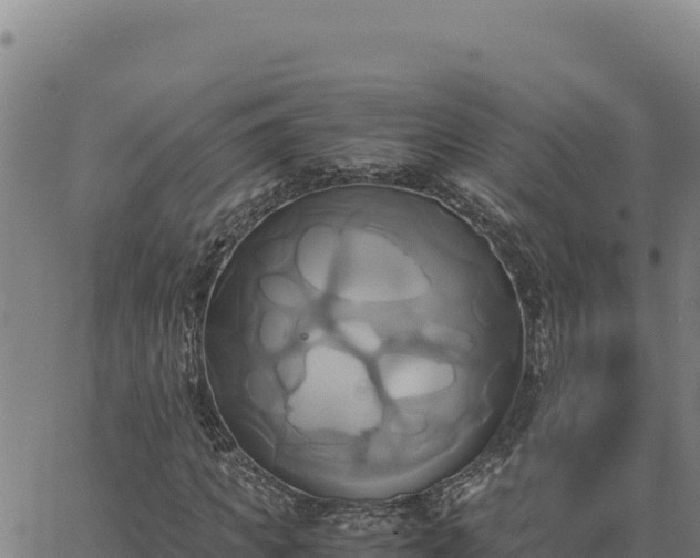 X0000063470917200601271625