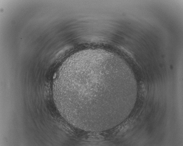 X0000063470918200601271626