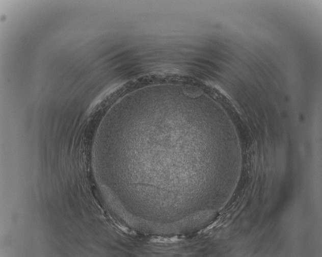 X0000063470919200601271626