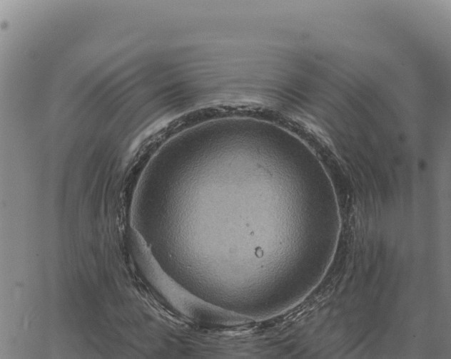 X0000063470920200601271626