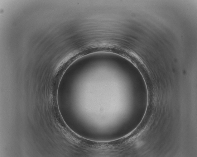 X0000063470922200601271626