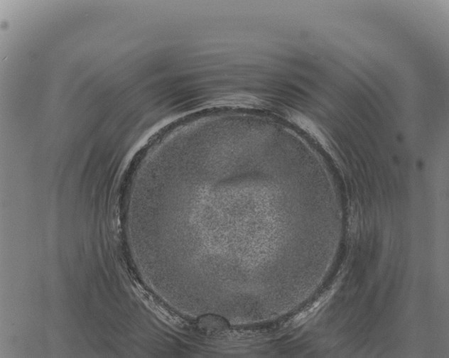 X0000063470923200601271626