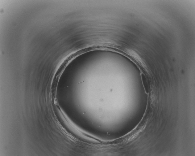 X0000063470924200601271626