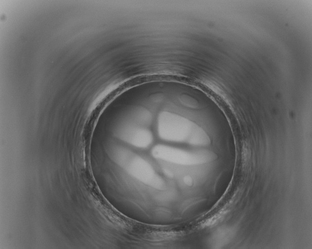 X0000063470925200601271626