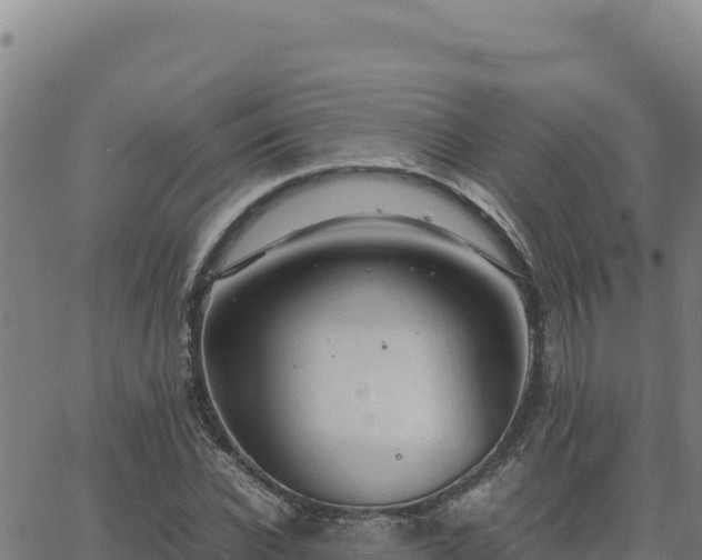 X0000063470926200601271626