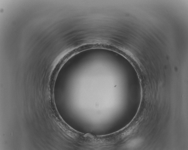 X0000063470927200601271626