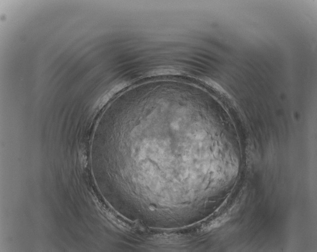 X0000063470929200601271626