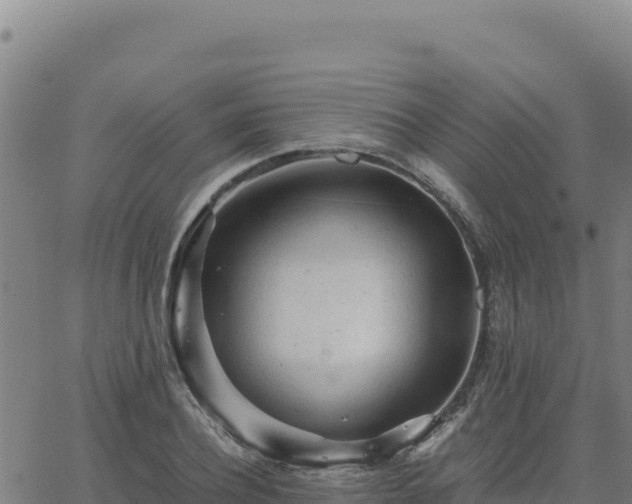 X0000063470932200601271626