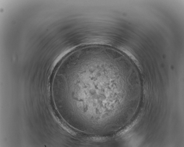 X0000063470933200601271626