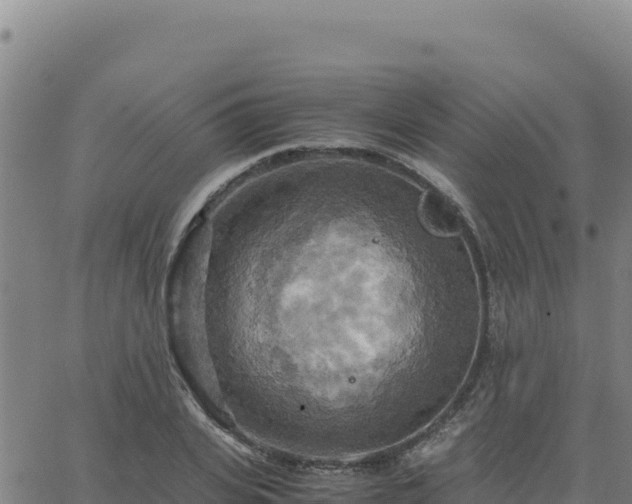 X0000063470935200601271626