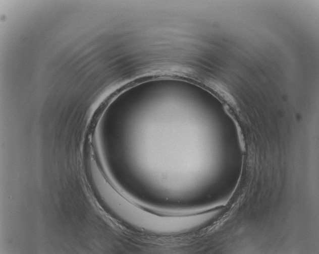 X0000063470936200601271626