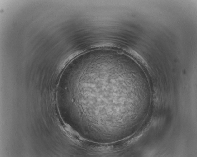 X0000063470937200601271626