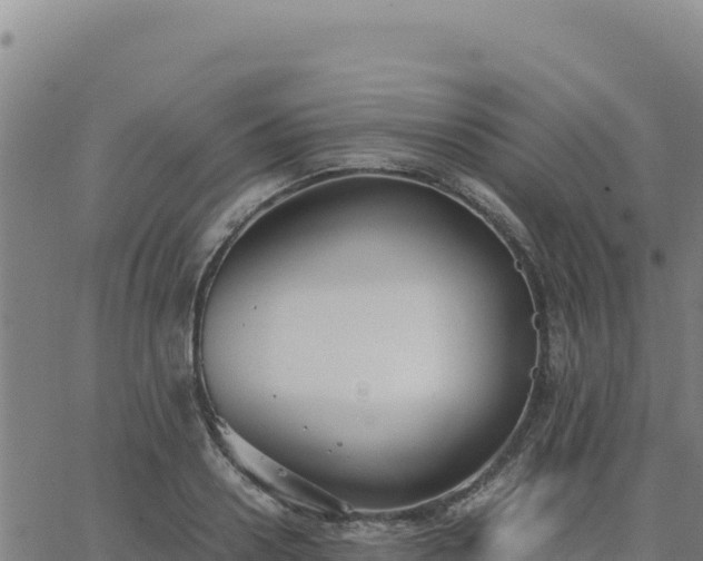 X0000063470938200601271626