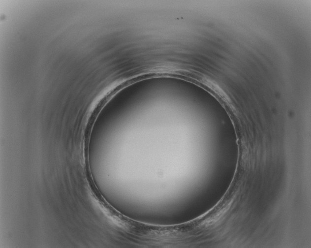 X0000063470939200601271626