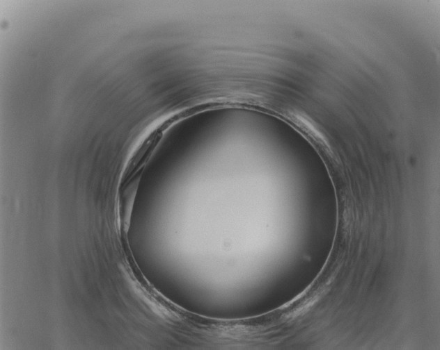 X0000063470940200601271626