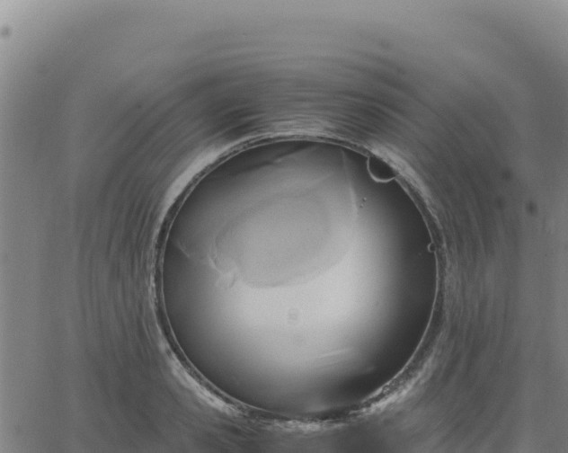 X0000063470941200601271626