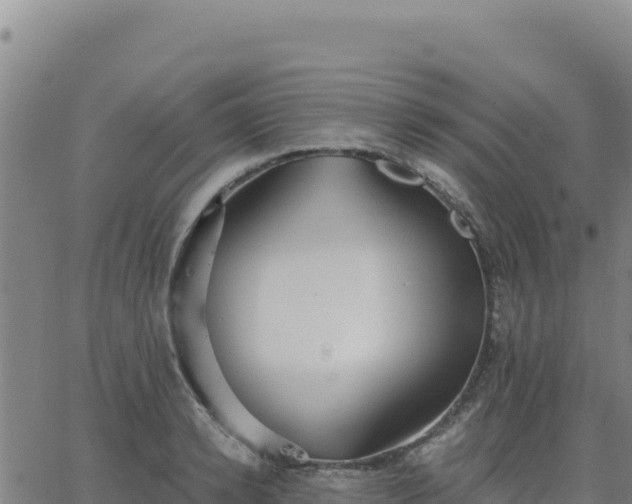 X0000063470942200601271626