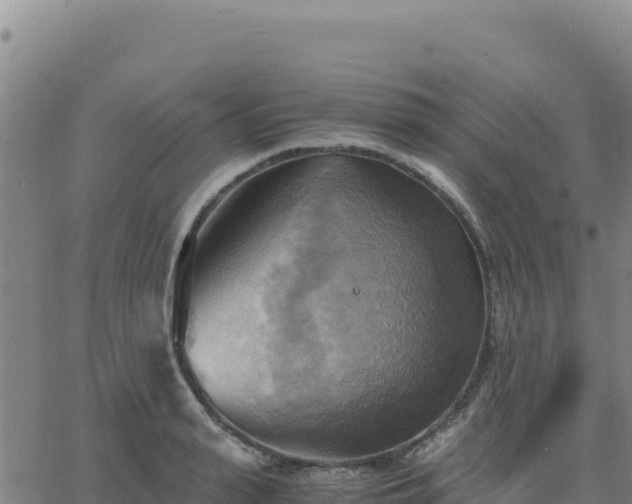 X0000063470943200601271626