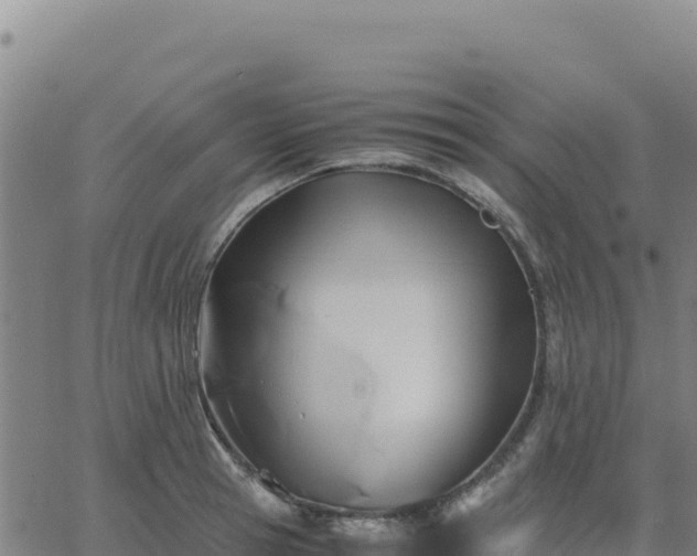 X0000063470945200601271626