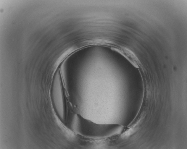 X0000063470946200601271626