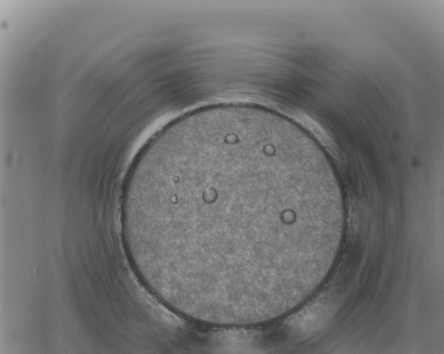 X0000063470950200601271626