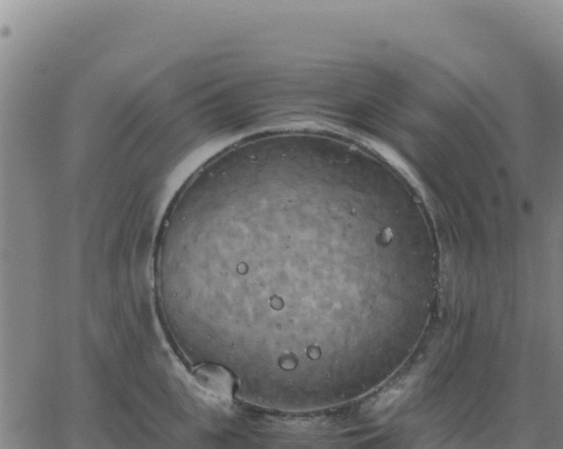 X0000063470951200601271626