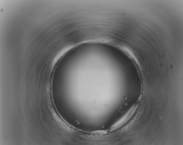 X0000063470952200601271626