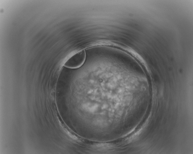 X0000063470953200601271626