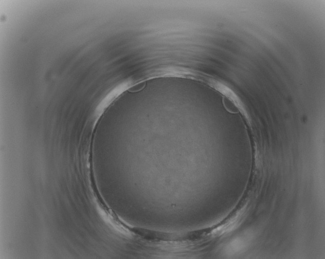 X0000063470954200601271626