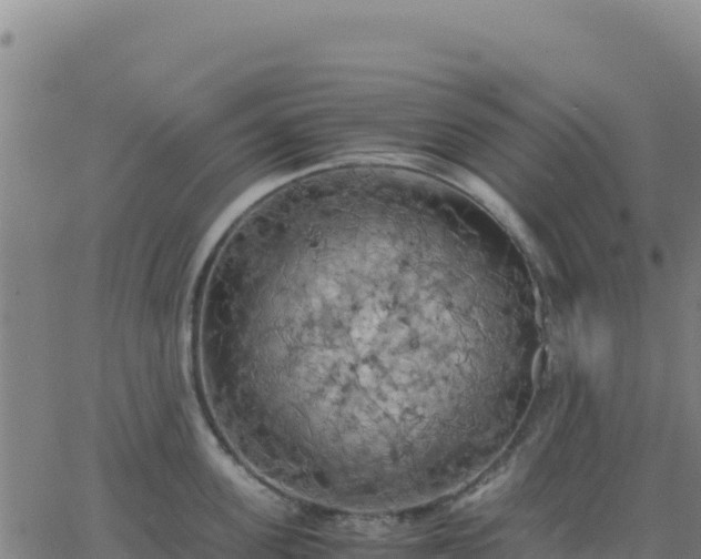 X0000063470955200601271626