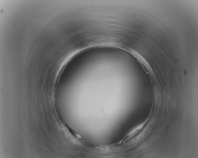 X0000063470956200601271626