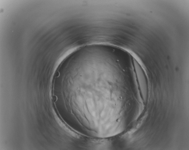 X0000063470957200601271626