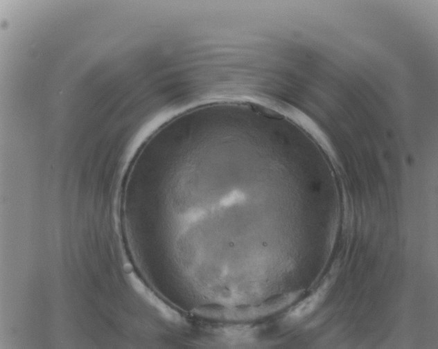 X0000063470958200601271626