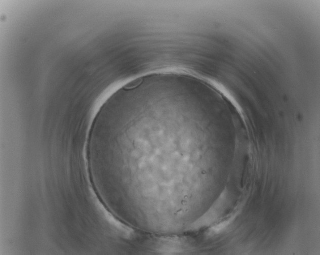 X0000063470959200601271626