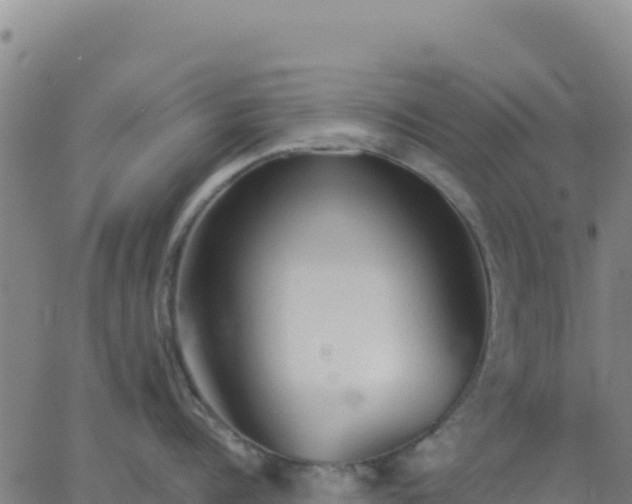 X0000063470960200601271626