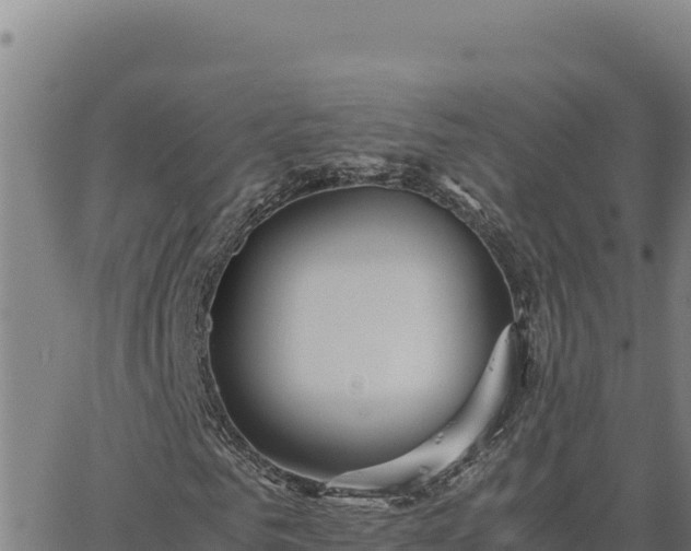 X0000063470961200601271625