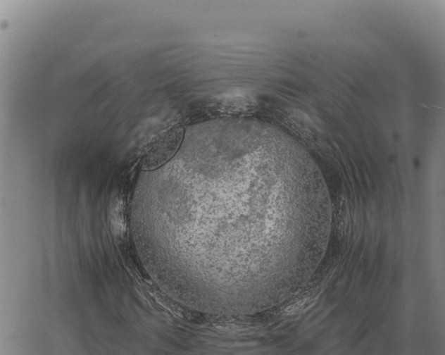 X0000063470962200601271625