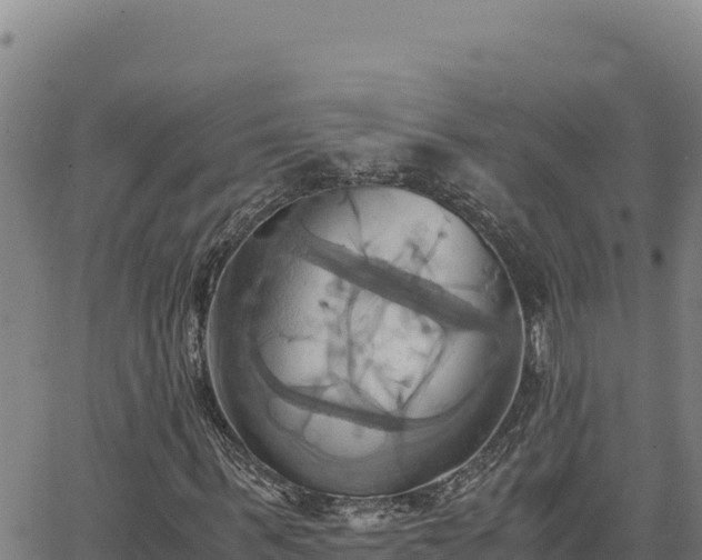 X0000063470963200601271625