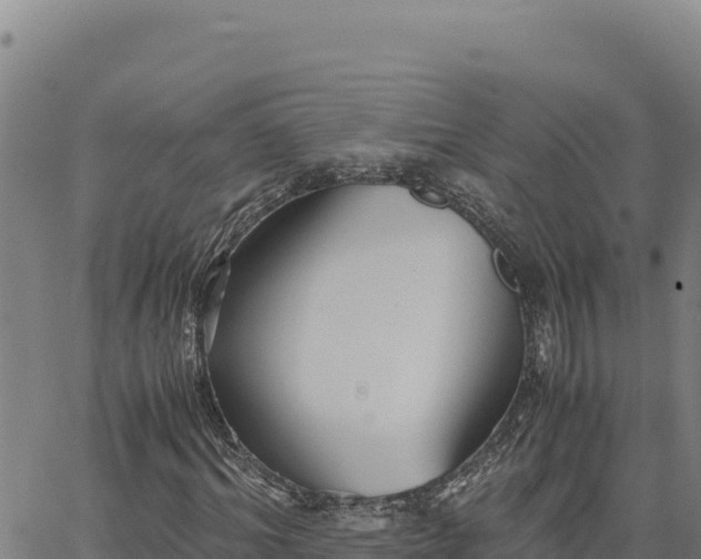 X0000063470964200601271625