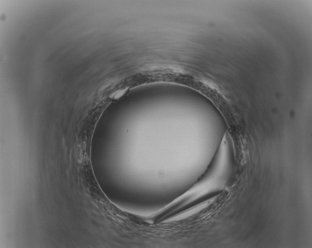 X0000063470965200601271625