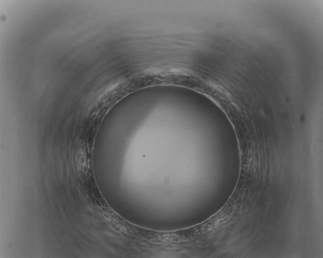 X0000063470966200601271625