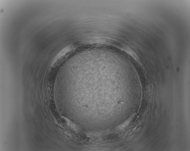 X0000063470967200601271625