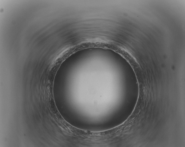 X0000063470968200601271625