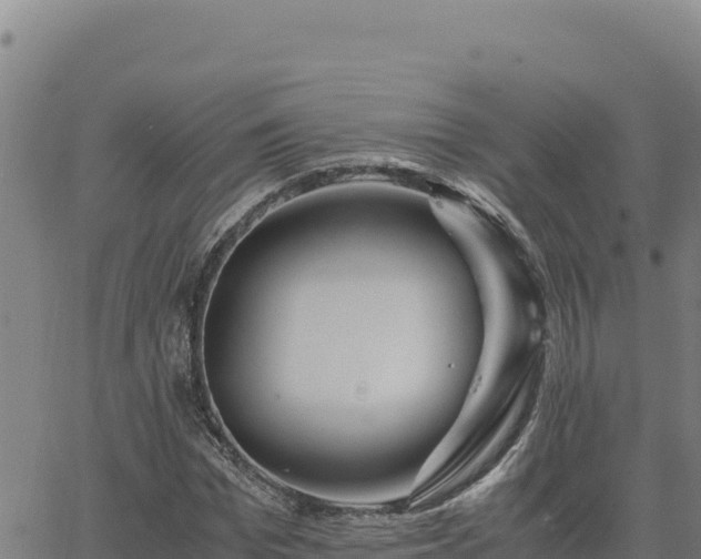 X0000063470969200601271625