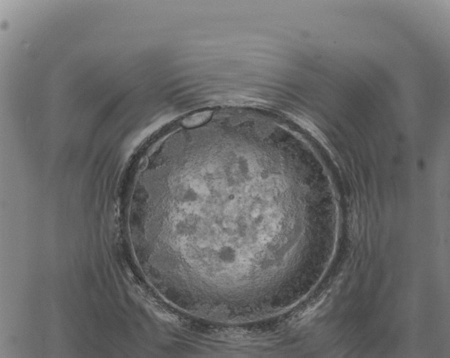 X0000063470971200601271625