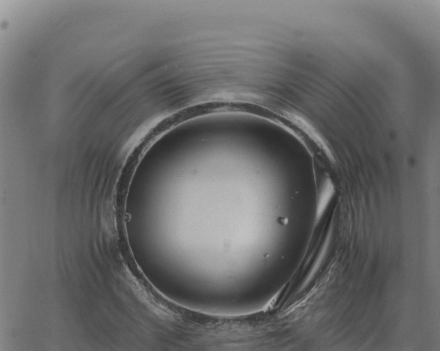 X0000063470972200601271625