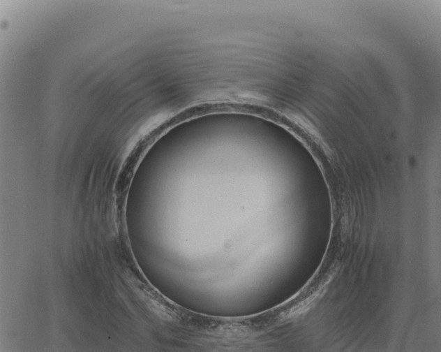 X0000063470974200601271625