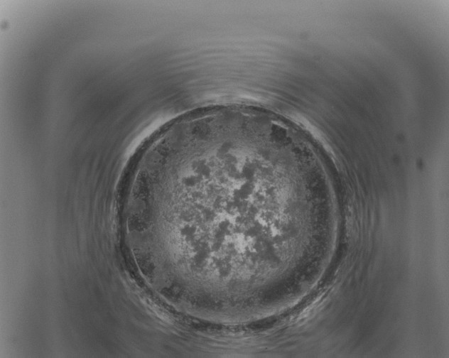 X0000063470975200601271625