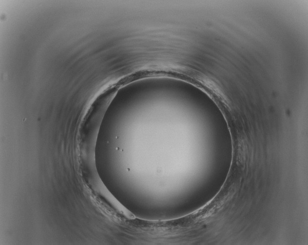 X0000063470976200601271625