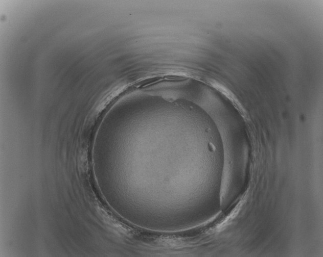 X0000063470977200601271625